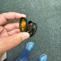 Selling with online payment: 78D Volk with removable yellow filter