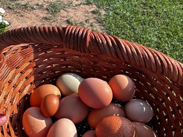 Selling with In-person Payment: Fresh eggs 
