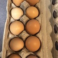 Selling with In-person Payment: Dozen eggs for sale 