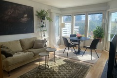 Annetaan vuokralle: Renting my home while I'm in Exhange. If two tenants the rent 490