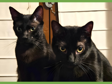  : Charlie and Peanut