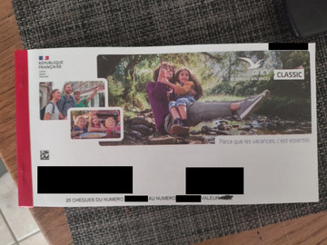 Vente: Chèques Vacances ANCV (380€)