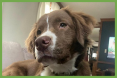  : Archie