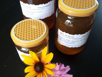 Les miels : Miel de Fleurs