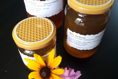Les miels : Miel de Fleurs