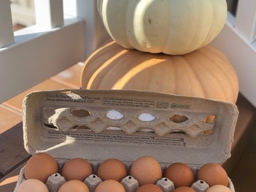 Selling with In-person Payment: Fresh local medium sized chicken eggs for sale 