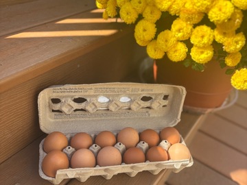 Selling with In-person Payment: Farm fresh large chicken eggs 
