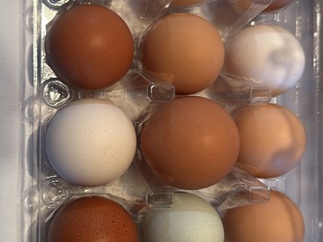 Selling with In-person Payment: Farm fresh eggs
