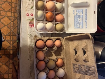 Selling with In-person Payment: Farm fresh eggs 
