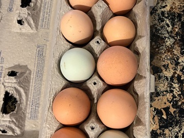 Selling with In-person Payment: Fresh Eggs 