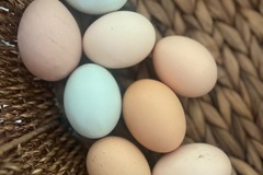 Selling with In-person Payment: Fresh Eggs 