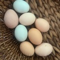 Selling with In-person Payment: Fresh Eggs 