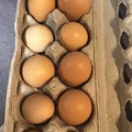 Selling with online payment: Fresh eggs