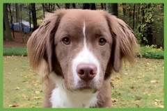 : Archie