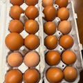 Selling with In-person Payment: Happy hens - brown eggs for sale!