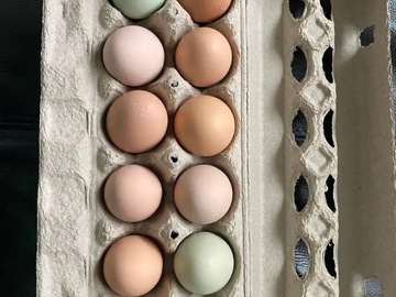 Selling with In-person Payment: Pasture raised chickens eggs 