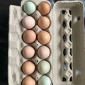 Selling with In-person Payment: Pasture raised chickens eggs 