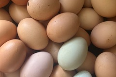 Selling with In-person Payment: Chicken eggs