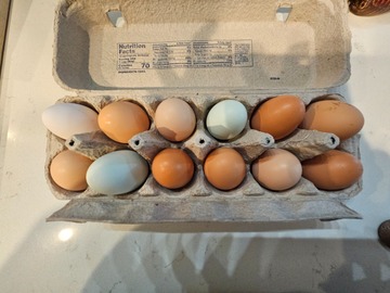 Selling with In-person Payment: Farm Fresh eggs
