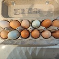 Selling with In-person Payment: Farm Fresh eggs