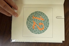 Selling with online payment: Ishihara Color Book