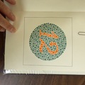 Selling with online payment: Ishihara Color Book