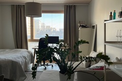 Annetaan vuokralle: Subleasing my studio apartment during spring 2026