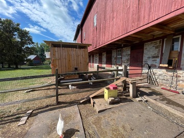 Selling with In-person Payment: Farm fresh, pasteurize, corn-free, soy-free, chicken eggs