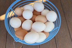 Selling with In-person Payment: Organic/Pasture Raised