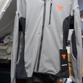 Winter sports: DAINESE FULL BACK PROTECTOR IN JACKET