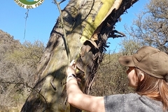 Radar: Convocatoria: Voluntariado Ambiental 2025–2026