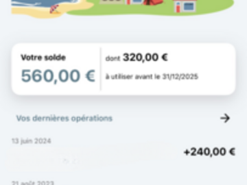 Vente: Chèques Vacances (320€)