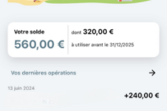 Vente: Chèques Vacances (320€)
