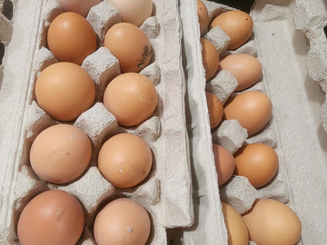 Selling with In-person Payment: Farm fresh eggs 