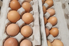 Selling with In-person Payment: Farm fresh eggs 