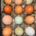 Selling with online payment: Farm Fresh Eggs