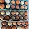 Selling with In-person Payment: Fresh Eggs