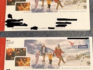 Vente: Chèques vacances ANCV (500€)