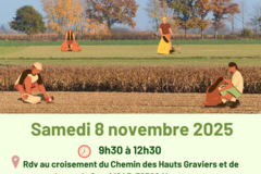 Helping out: Plaine d'avenir 78 - Ramassage citoyen d'automne