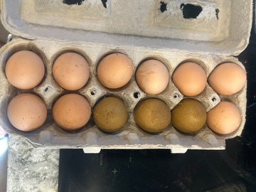 Selling with In-person Payment: Farm fresh eggs