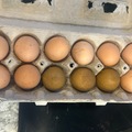 Selling with In-person Payment: Farm fresh eggs