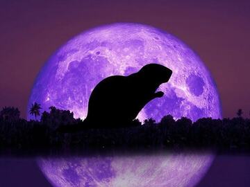 Selling: NOVEMBER 2025 FULL MOON SPELL CASTING & READING SPECIAL DEAL!