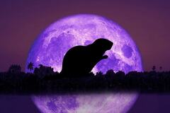 Selling: NOVEMBER 2025 FULL MOON SPELL CASTING & READING SPECIAL DEAL!