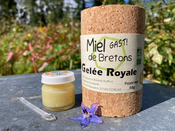 Les miels : Gelée royale fraîche
