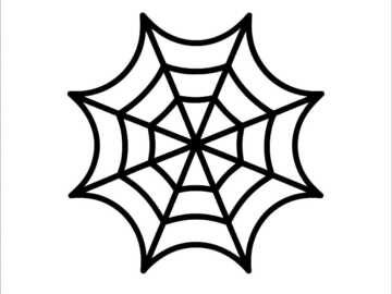 Renting out:  Chino, Sp5der Clothing