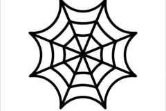 Renting out:  Chino, Sp5der Clothing