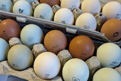 Selling with In-person Payment: Mogels Springfed Farm 