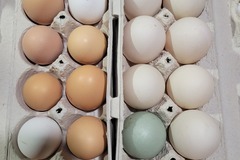 Selling with In-person Payment: Farm fresh eggs