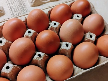 Selling with In-person Payment: Fresh Farm Chicken Eggs