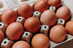 Selling with In-person Payment: Fresh Farm Chicken Eggs
